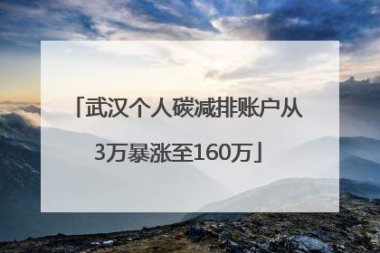 武汉个人碳减排账户从3万暴涨至160万